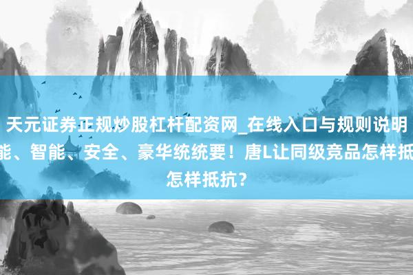 天元证券正规炒股杠杆配资网_在线入口与规则说明 性能、智能、安全、豪华统统要！唐L让同级竞品怎样抵抗？