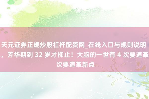 天元证券正规炒股杠杆配资网_在线入口与规则说明 别急，芳华期到 32 岁才抑止！大脑的一世有 4 次要道革新点