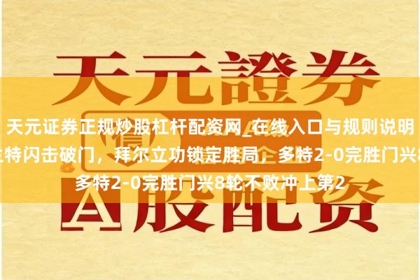 天元证券正规炒股杠杆配资网_在线入口与规则说明 德甲劲爆！布兰特闪击破门，拜尔立功锁定胜局，多特2-0完胜门兴8轮不败冲上第2