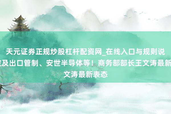 天元证券正规炒股杠杆配资网_在线入口与规则说明 波及出口管制、安世半导体等！商务部部长王文涛最新表态